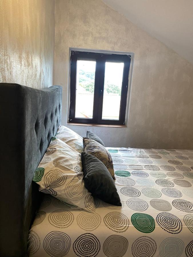 Lux Boka Sea View Apartment 科托尔 外观 照片